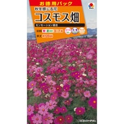 ニュールックお徳用パック 徳用コスモス畑 センセーション混合 FCS180