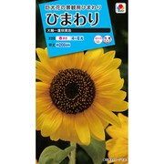 ニュールック150 ひまわり 大輪一重咲黄色 FHM111
