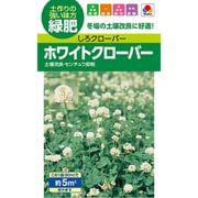 BCL532 [緑化・景観用 緑肥 ホワイトクローバー フィア]