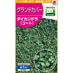 芝生・グランドカバー 緑化・芝草 ダイカンドラ（コート） BLG609