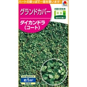 BLG609 [芝生・グランドカバー 緑化・芝草 ダイカンドラ（コート）]