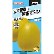 AMA03Y [ニュールック野菜 マクワウリ 甘さ抜群！黄金まくわ 金太郎]