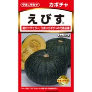 ANK022 [ニュールック野菜 カボチャ えびす]