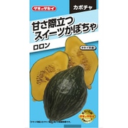 ANK088 [ニュールック野菜 カボチャ 甘さ際立つスイーツかぼちゃ ロロン]