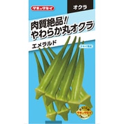 AOK508 [ニュールック野菜 オクラ 肉質絶品！ やわらか丸オクラ エメラルド]