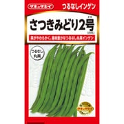ASA126 [ニュールック野菜 つるなしインゲン さつきみどり2号]