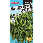 AED158 [ニュールック野菜 エダマメ 春から夏までまける 大粒枝豆 たわわみどり]