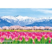300-386 シリーズ・日本の都市30 富山県下新川郡「あさひ舟川 春の四重奏」 [ジグソーパズル 300ピース]