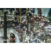 300-387 シリーズ・日本の都市31 和歌山県有田市「工場夜景」 [ジグソーパズル 300ピース]
