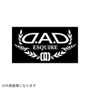 ST107-21 [DAD オートモデルステッカー エスクァイア ホワイト]