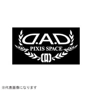 ST107-25 [DAD オートモデルステッカー ピクシススペース ホワイト]