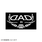 ST107-29 [DAD オートモデルステッカー IS ホワイト]