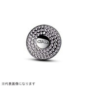 SA771-02 [ジュエリープッシュスターターブローチ オーロラ]