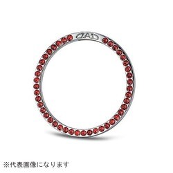 SA772-04 [ジュエリースターターリング ライトシャム]