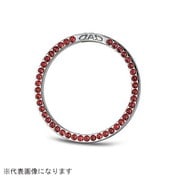 SA772-04 [ジュエリースターターリング ライトシャム]