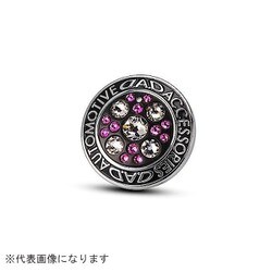 SA911-17 [オートモーティブプッシュスターターブローチ クリスタル＆フューシャ]