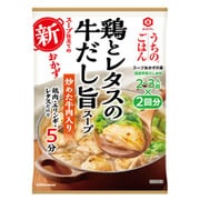 うちのごはん スープおかずの素 鶏とレタスの牛だし旨スープ 94g [スープ]