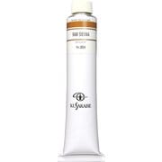 油絵具20号（110ml） ローシェンナ K20 No.204