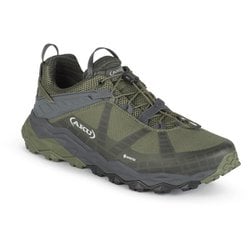 フライロック GTX メンズ ハイキングシューズ GREEN/GREY（109） UK9(28cm) 698ISG