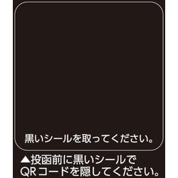 ヨドバシ.com - フライハート フライハート QRコード使用 ビデオ