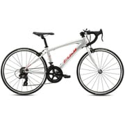 子ども用自転車 ACE 24インチ 7段変速 SILVER 24AC24SV24