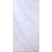 JPC-01 [JOINT-LOCK pietra 310×620×4mm JPC-01 8P]