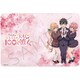 SYNC-HKNOT-B 君のことが大大大大大好きな100人の彼女 お薬手帳ケース B. ティザービジュアル [キャラクターグッズ]