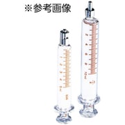 00024 [硝子注射筒 白硬 2ML・ロック 10入 一般医療機器]