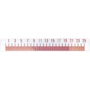X線メジャー 25CM メモリ2MM