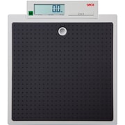 SECA877 [デジタルフラットスケール 検定付]