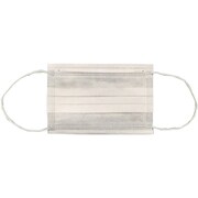 エブケア3PLYマスクスモール 耳掛 ホワイト 50枚入 8002