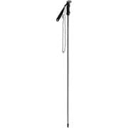 コンパクトウェーディングスタッフ Compact Wading Staff 5020440 205 ガンメタリック [釣り フィッシングギア]