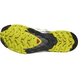 ヨドバシ.com - サロモン SALOMON エックスエー プロ 3D V9