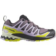 エックスエー プロ 3D V9 ゴアテックス XA PRO 3D V9 GTX W L47469500 MOONSCAPE/ORCHID PETAL/SULPHUR SPRING 23cm [ハイキングシューズ レディース]