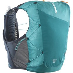 ヨドバシ.com - サロモン SALOMON アクティブスキン12 (フラスク