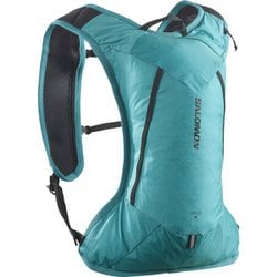 SALOMON サロモン クロス 4 バックパック ブラック 40×20cm(4L