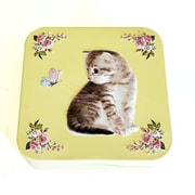 【限定】子猫 ミニ缶 （イエロー）