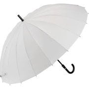 長傘 富山サンダーR 65cm ジャンプ式 20本骨 5級撥水 花開き構造 U165-0890GY1-B3