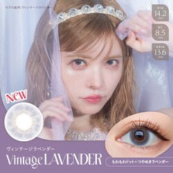 バンビシリーズ ヴィンテージラベンダー ワンデー 10枚入 -9.00 [カラーコンタクトレンズ]