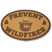 11183001000005 [PREVENT WILD FIREパッチ]