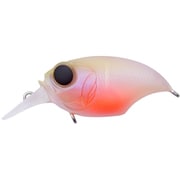 SR-X GRIFFON ベビーキンギョ