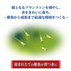 ヨドバシ.com - GEX ジェックス メダカ元気 育てるPSBウォーター ヨドバシ.com - GEX ジェックス メダカ元気 育てるPSBウォーター