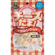チーズだよ！ カルシウム 40g [犬用おやつ]