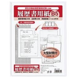 履歴書用紙 B5N 厚生労働省様式例 リ-B5N