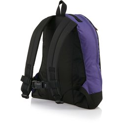 ヨドバシ.com - グレゴリー GREGORY ファインデイ V2 レディース