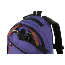 ヨドバシ.com - グレゴリー GREGORY ファインデイ V2 レディース