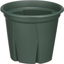 根っこつよし 8号 グリーン