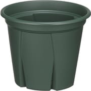 根っこつよし 9号 グリーン