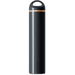 スティック型モバイルバッテリー 3000mAh ブラック PG-LBJ30A01BK