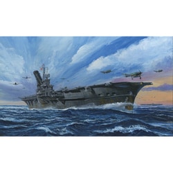特シリーズ No.21 1/700 日本海軍航空母艦 大鳳（木甲板） [組立式プラスチックモデル]